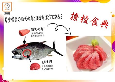 腦天|撩棱食典：來自吞拿魚的腦天